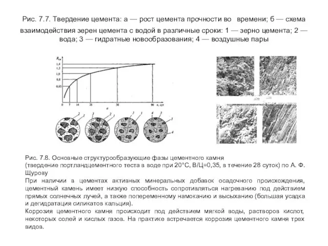 Рис. 7.7. Твердение цемента: а — рост цемента прочности во времени;