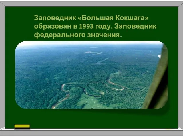 Заповедник «Большая Кокшага» образован в 1993 году. Заповедник федерального значения.