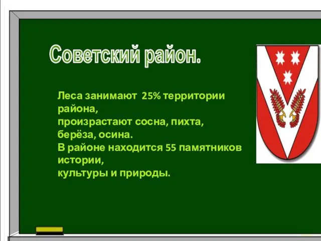 Советский район. Леса занимают 25% территории района, произрастают сосна, пихта, берёза,