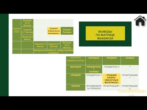 ВЫВОДЫ ПО МАТРИЦЕ МАККИНЗИ Transfessionals