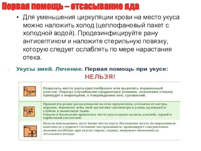 Для уменьшения циркуляции крови на место укуса можно наложить холод (целлофановый