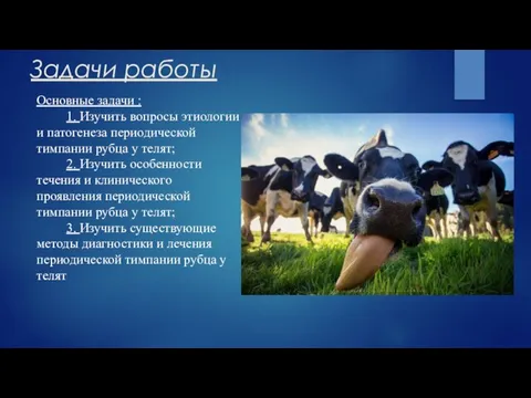 Задачи работы Основные задачи : 1. Изучить вопросы этиологии и патогенеза