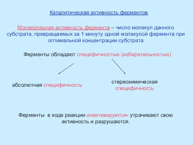 Молекулярная активность фермента – число молекул данного субстрата, превращаемых за 1