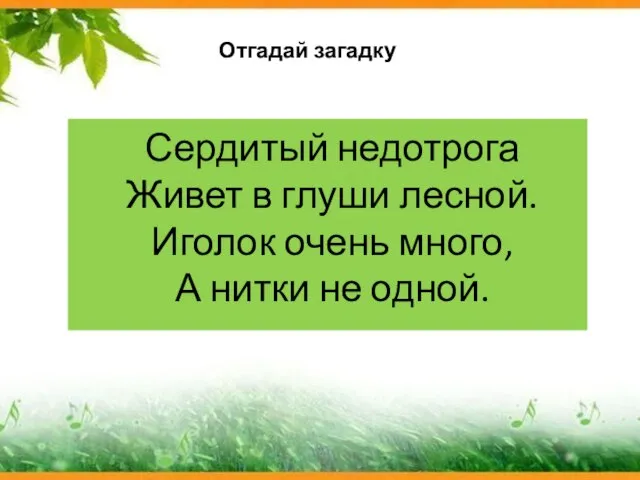 Сердитый недотрога Живет в глуши лесной. Иголок очень много, А нитки не одной. Отгадай загадку