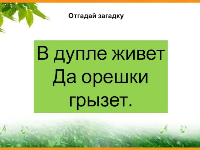 В дупле живет Да орешки грызет. Отгадай загадку