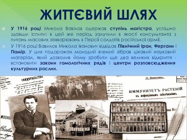 ЖИТТЄВИЙ ШЛЯХ У 1916 році Микола Вавілов одержав ступінь магістра, успішно