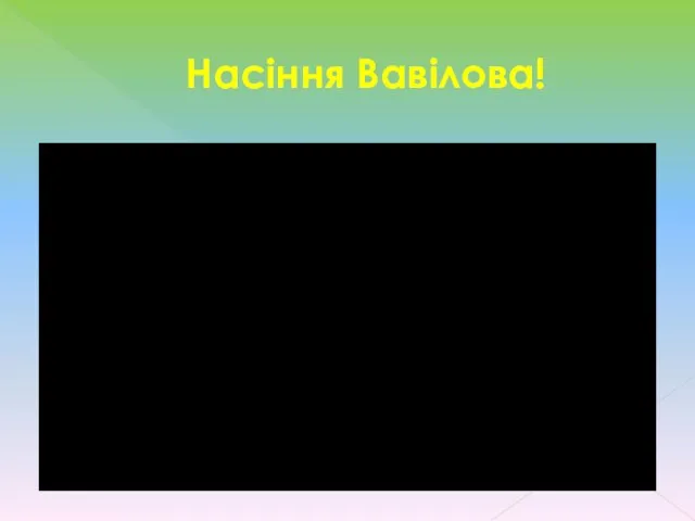 Насіння Вавілова!