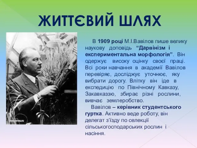 ЖИТТЄВИЙ ШЛЯХ В 1909 році М.І.Вавілов пише велику наукову доповідь “Дарвінізм