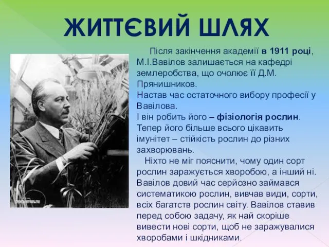 ЖИТТЄВИЙ ШЛЯХ Після закінчення академії в 1911 році, М.І.Вавілов залишається на