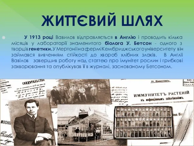 ЖИТТЄВИЙ ШЛЯХ У 1913 році Вавилов відправляється в Англію і проводить