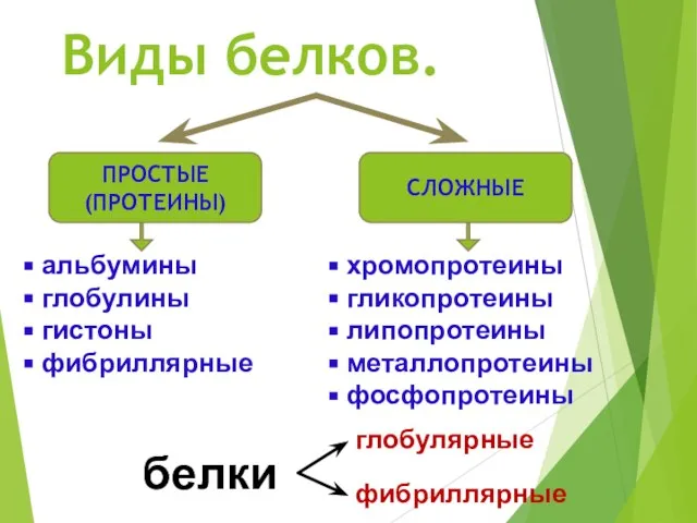 Виды белков. ПРОСТЫЕ (ПРОТЕИНЫ) СЛОЖНЫЕ альбумины глобулины гистоны фибриллярные хромопротеины гликопротеины