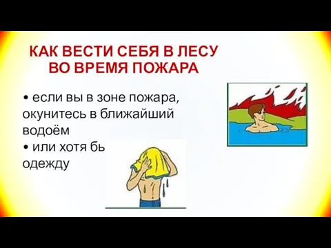 КАК ВЕСТИ СЕБЯ В ЛЕСУ ВО ВРЕМЯ ПОЖАРА • если вы