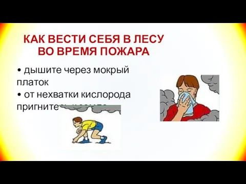 КАК ВЕСТИ СЕБЯ В ЛЕСУ ВО ВРЕМЯ ПОЖАРА • дышите через