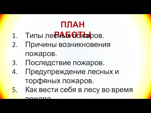 ПЛАН РАБОТЫ Типы лесных пожаров. Причины возникновения пожаров. Последствие пожаров. Предупреждение