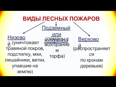 ВИДЫ ЛЕСНЫХ ПОЖАРОВ Низовой Подземный или торфяной Верховой (уничтожает травяной покров,