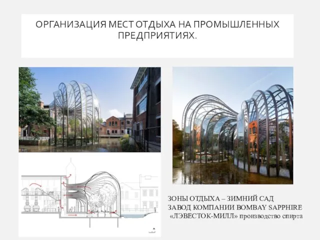 ОРГАНИЗАЦИЯ МЕСТ ОТДЫХА НА ПРОМЫШЛЕННЫХ ПРЕДПРИЯТИЯХ. ЗОНЫ ОТДЫХА – ЗИМНИЙ САД