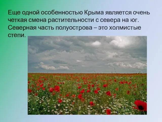 Еще одной особенностью Крыма является очень четкая смена растительности с севера