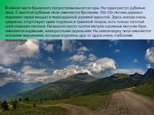 В южной части Крымского полуострова высятся горы. На горах растут дубовые