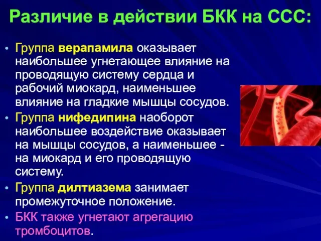 Различие в действии БКК на ССС: Группа верапамила оказывает наибольшее угнетающее