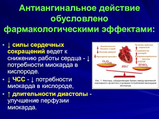 Антиангинальное действие обусловлено фармакологическими эффектами: ↓ силы сердечных сокращений ведет к