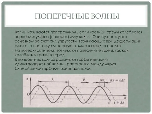 ПОПЕРЕЧНЫЕ ВОЛНЫ Волны называются поперечными, если частицы среды колеблются перпендикулярно (поперек)