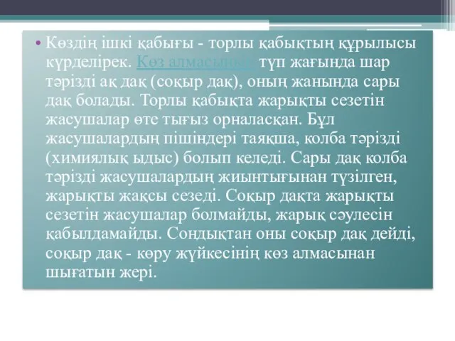 Көздің ішкі қабығы - торлы қабықтың құрылысы күрделірек. Көз алмасының түп