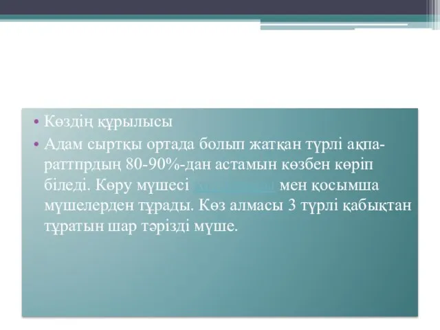 Көздің құрылысы Адам сыртқы ортада болып жатқан түрлі ақпа-раттпрдың 80-90%-дан астамын