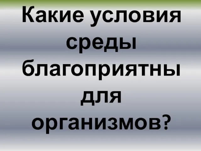 Какие условия среды благоприятны для организмов?