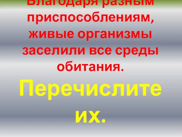 Благодаря разным приспособлениям, живые организмы заселили все среды обитания. Перечислите их.