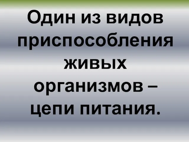 Один из видов приспособления живых организмов – цепи питания.