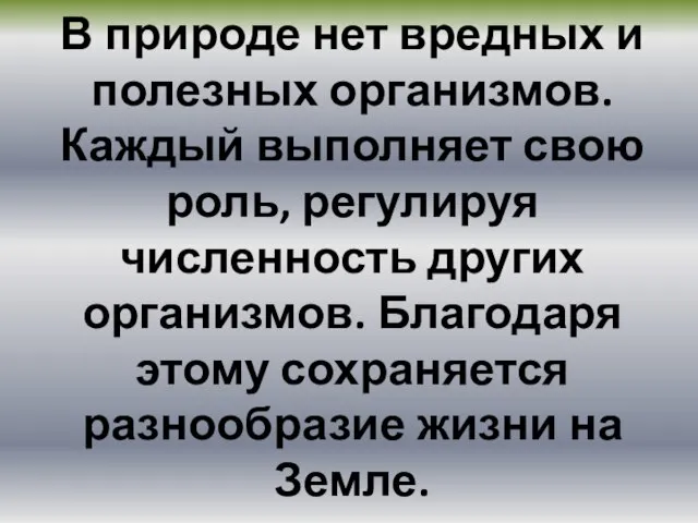 В природе нет вредных и полезных организмов. Каждый выполняет свою роль,