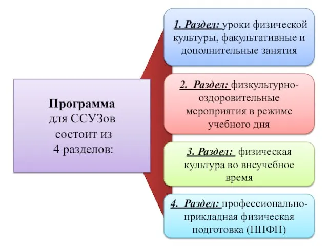 1. Раздел: уроки физической культуры, факультативные и дополнительные занятия 2. Раздел: