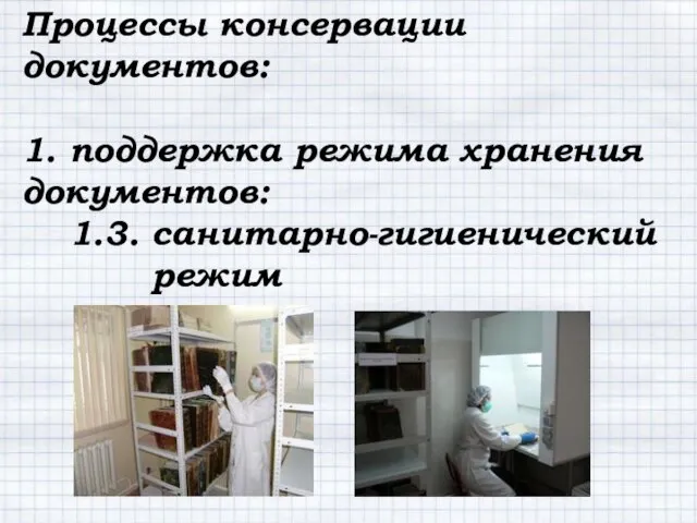 Процессы консервации документов: 1. поддержка режима хранения документов: 1.3. санитарно-гигиенический режим