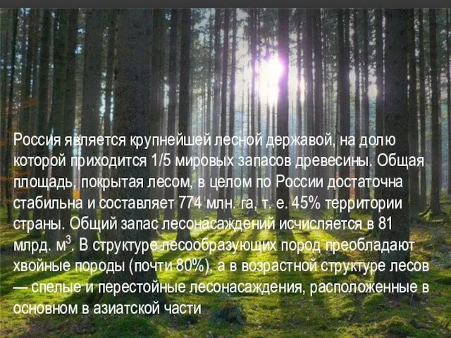 Россия является крупнейшей лесной державой, на долю которой приходится 1/5 мировых