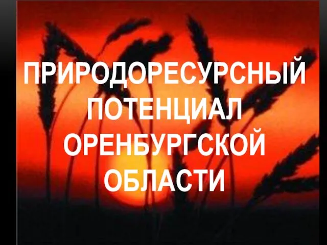 ПРИРОДОРЕСУРСНЫЙ ПОТЕНЦИАЛ ОРЕНБУРГСКОЙ ОБЛАСТИ