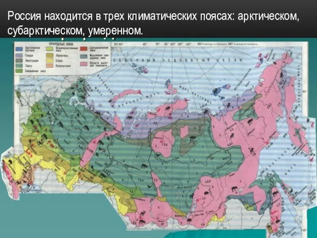 Россия находится в трех климатических поясах: арктическом, субарктическом, умерен­ном.