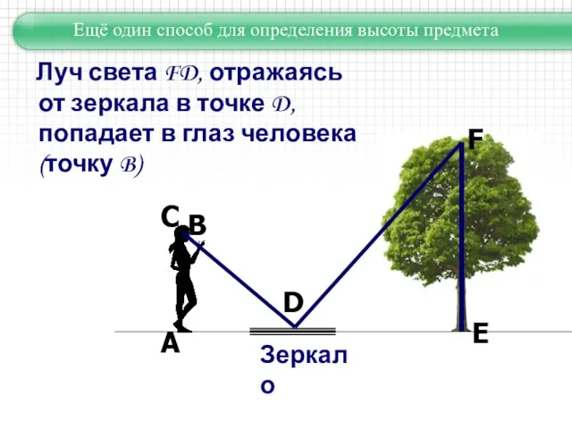 Луч света FD, отражаясь от зеркала в точке D, попадает в