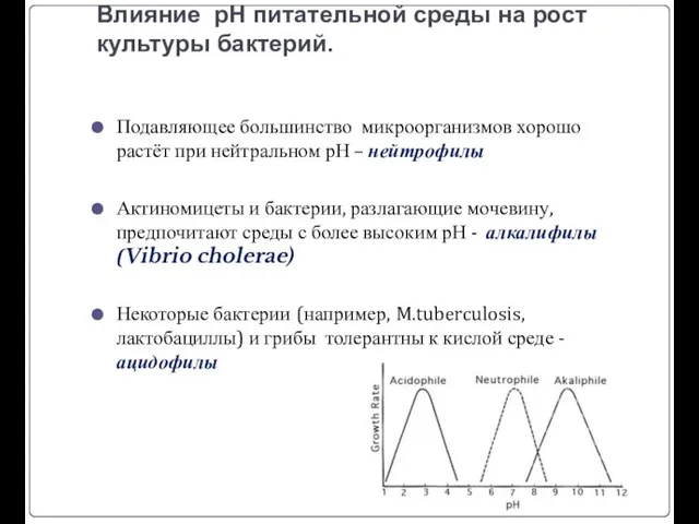 Влияние рН питательной среды на рост культуры бактерий. Подавляющее большинство микроорганизмов