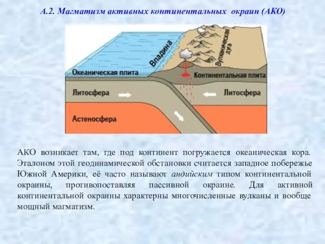 А.2. Магматизм активных континентальных окраин (АКО) АКО возникает там, где под