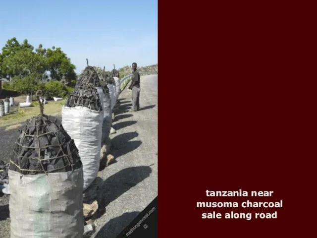 tanzania near musoma charcoal sale along road