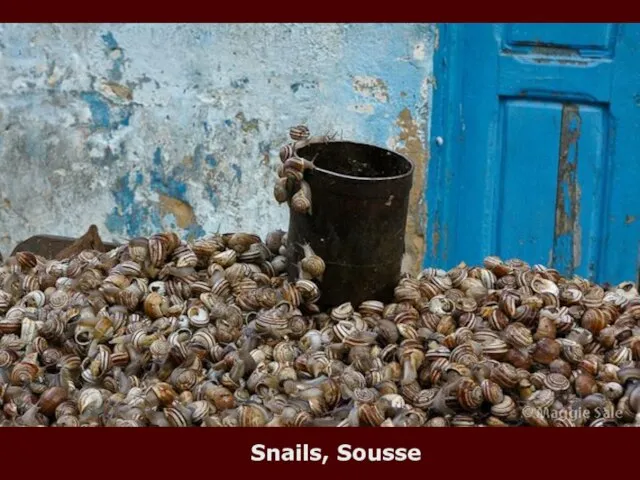 Snails, Sousse