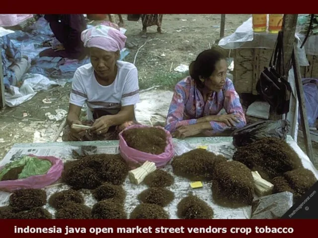 indonesia java open market street vendors crop tobacco