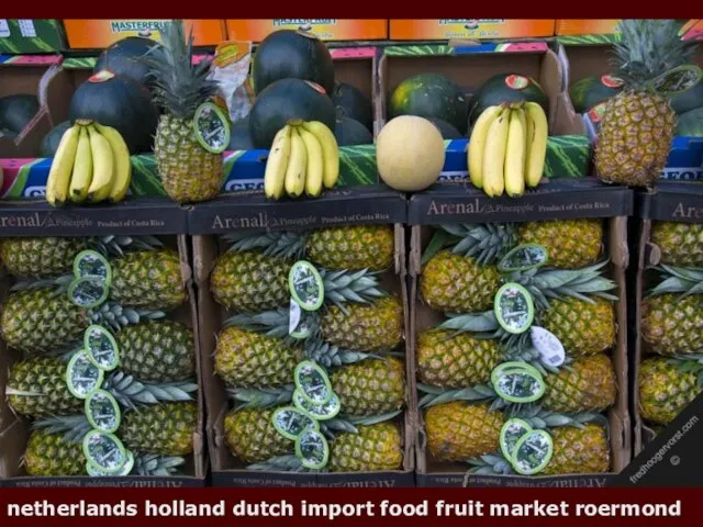 netherlands holland dutch import food fruit market roermond