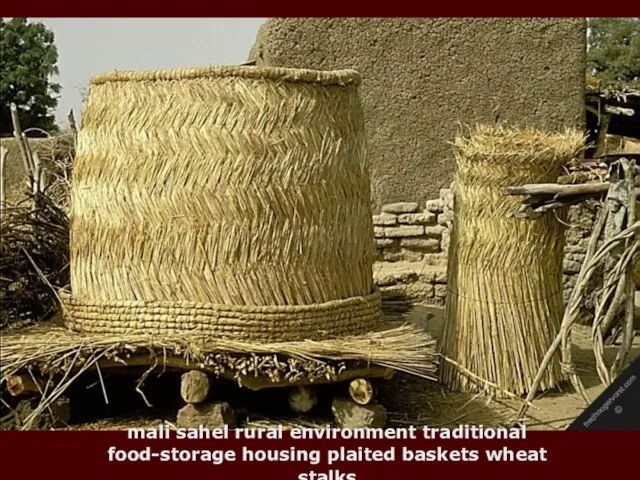 mali sahel rural environment traditional food-storage housing plaited baskets wheat stalks