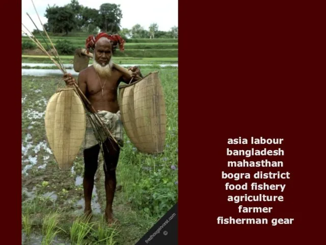 asia labour bangladesh mahasthan bogra district food fishery agriculture farmer fisherman gear