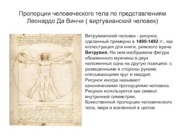 Пропорции человеческого тела по представлениям Леонардо Да Винчи ( виртувианский человек)