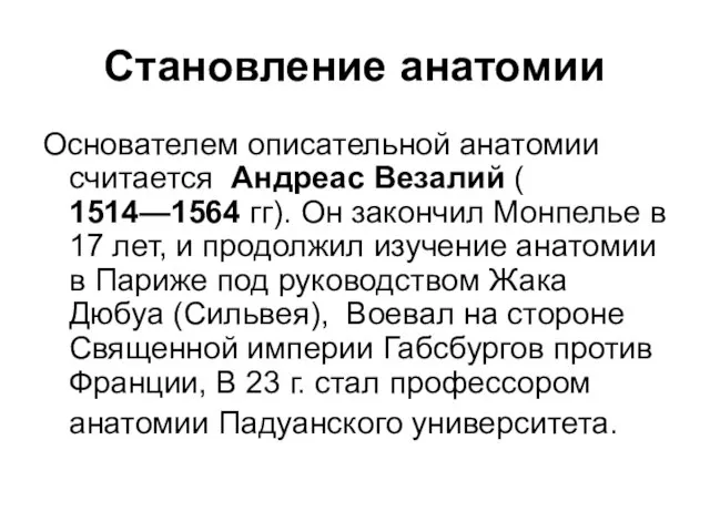 Становление анатомии Основателем описательной анатомии считается Андреас Везалий ( 1514—1564 гг).