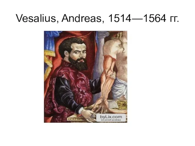 Vesalius, Andreas, 1514—1564 гг.