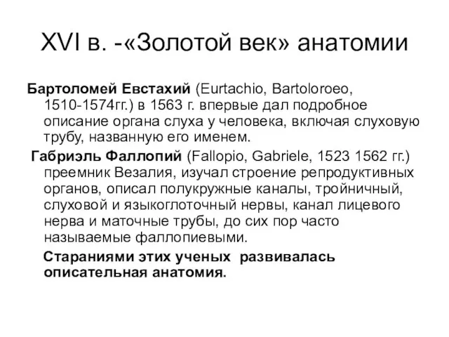 XVI в. -«Золотой век» анатомии Бартоломей Евстахий (Eurtachio, Bartoloroeo, 1510-1574гг.) в