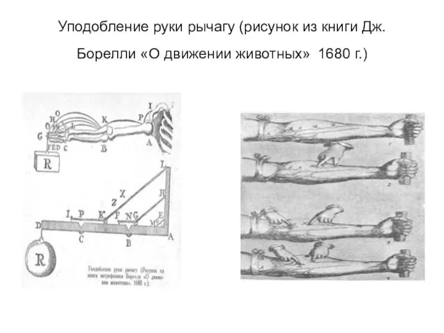 Уподобление руки рычагу (рисунок из книги Дж. Борелли «О движении животных» 1680 г.)